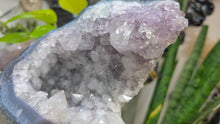 Load image into Gallery viewer, 8" Amethyst &amp; Blue Agate Crystal Cluster
