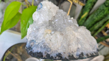 Load image into Gallery viewer, Clear Amethyst &amp; Goethite Crystal Cluster
