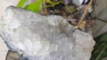 Load image into Gallery viewer, Clear Amethyst &amp; Goethite Crystal Cluster
