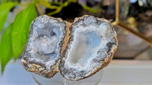 Load image into Gallery viewer, 4" Rare Druzy Mexican Trancas Geode

