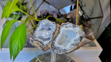 Load image into Gallery viewer, 4" Rare Druzy Mexican Trancas Geode
