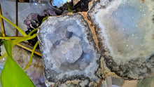 Load image into Gallery viewer, 4" Rare Druzy Mexican Trancas Geode
