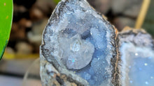 Load image into Gallery viewer, 4" Rare Druzy Mexican Trancas Geode
