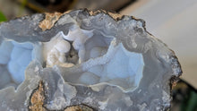 Load image into Gallery viewer, 7" Rare Druzy Mexican Trancas Geode
