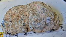 Load image into Gallery viewer, 7" Rare Druzy Mexican Trancas Geode
