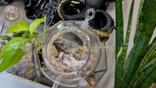 Load image into Gallery viewer, 4" Artificial Moss &amp; Crystal Healing Hanging Sphere

