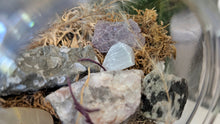 Load image into Gallery viewer, 4" Artificial Moss &amp; Crystal Healing Hanging Sphere
