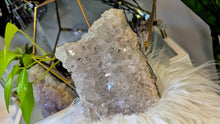 Load image into Gallery viewer, 6" Smokey Clear Amethyst &amp; Goethite Crystal Cluster
