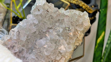 Load image into Gallery viewer, 6" Smokey Clear Amethyst &amp; Goethite Crystal Cluster
