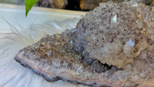 Load image into Gallery viewer, 9" Brazil Goethite &amp; Amethyst Crystal Cluster
