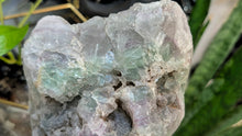 Load image into Gallery viewer, 9" B.C. Rainbow Fluorite Crystal Cluster on Stand
