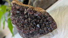 Load image into Gallery viewer, 4" Thunder Bay Smokey Amethyst Crystal Cluster
