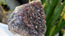 Load image into Gallery viewer, 4" Thunder Bay Smokey Amethyst Crystal Cluster
