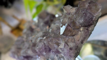 Load image into Gallery viewer, 7" Rare Thunder Bay Titanium Smokey Amethyst Crystal Cluster
