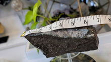 Load image into Gallery viewer, 7" Rare Thunder Bay Titanium Smokey Amethyst Crystal Cluster
