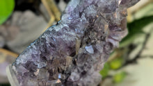 Load image into Gallery viewer, 7" Rare Thunder Bay Titanium Smokey Amethyst Crystal Cluster
