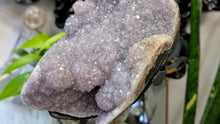 Load image into Gallery viewer, 12" Druzy Amethyst Crystal Cluster on Stand

