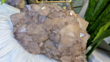 Load image into Gallery viewer, 9" Large Thunder Bay Smokey Phantom Amethyst Crystal Cluster
