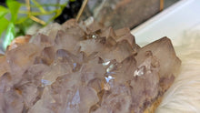 Load image into Gallery viewer, 9" Large Thunder Bay Smokey Phantom Amethyst Crystal Cluster
