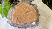 Load image into Gallery viewer, 9" Large Thunder Bay Smokey Phantom Amethyst Crystal Cluster
