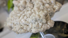 Load image into Gallery viewer, 7" Bulgarian Druzy Calcite Quartz Crystal Cluster
