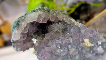 Load image into Gallery viewer, 5" Brazil Amethyst Agate Crystal Cluster

