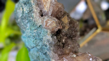 Load image into Gallery viewer, 4.5" Flower Amethyst Crystal Cluster
