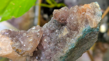 Load image into Gallery viewer, 4.5" Flower Amethyst Crystal Cluster
