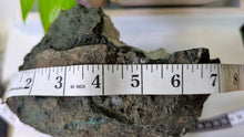 Load image into Gallery viewer, 7" Amethyst &amp; Hematite Crystal Cluster
