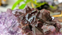 Load image into Gallery viewer, 8" Thunder Bay Red Amethyst Crystal Cluster
