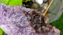 Load image into Gallery viewer, 8" Thunder Bay Red Amethyst Crystal Cluster
