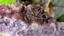 Load image into Gallery viewer, 8" Thunder Bay Red Amethyst Crystal Cluster

