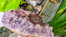 Load image into Gallery viewer, 8" Thunder Bay Red Amethyst Crystal Cluster
