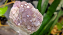 Load image into Gallery viewer, 4" Thunder Bay Smokey Lavender Amethyst Crystal Cluster
