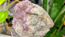 Load image into Gallery viewer, 4" Thunder Bay Smokey Lavender Amethyst Crystal Cluster
