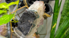 Load image into Gallery viewer, 5.5" Amethyst &amp; Hematite Crystal Cluster
