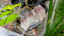 Load image into Gallery viewer, 5.5" Amethyst &amp; Hematite Crystal Cluster
