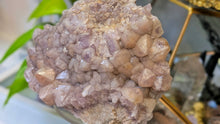 Load image into Gallery viewer, 4.5" Thunder Bay Smokey Lavender Amethyst Crystal Cluster
