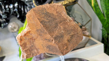 Load image into Gallery viewer, 4-5" Thunder Bay Druzy Amethyst Crystal Cluster
