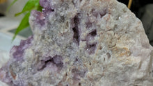 Load image into Gallery viewer, 8" Thunder Bay Druzy Coral Amethyst Crystal Cluster
