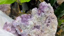 Load image into Gallery viewer, 8" Thunder Bay Druzy Coral Amethyst Crystal Cluster
