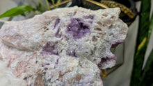 Load image into Gallery viewer, 8" Thunder Bay Druzy Coral Amethyst Crystal Cluster
