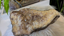 Load image into Gallery viewer, 8" Smokey Citrine &amp; Hematite Quartz Crystal Cluster
