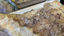 Load image into Gallery viewer, 8" Smokey Citrine &amp; Hematite Quartz Crystal Cluster
