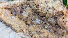Load image into Gallery viewer, 8" Smokey Citrine &amp; Hematite Quartz Crystal Cluster
