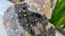 Load image into Gallery viewer, 8" Thunder Bay Black Amethyst Crystal Cluster
