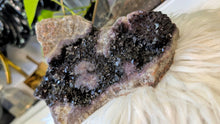 Load image into Gallery viewer, 8" Thunder Bay Black Amethyst Crystal Cluster
