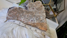 Load image into Gallery viewer, 8" Thunder Bay Druzy Coral Amethyst Crystal Cluster
