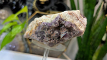 Load image into Gallery viewer, 6" Thunder Bay Smokey &amp; Lavender Amethyst Crystal Cluster
