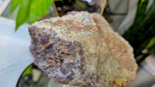 Load image into Gallery viewer, 6" Thunder Bay Smokey &amp; Lavender Amethyst Crystal Cluster
